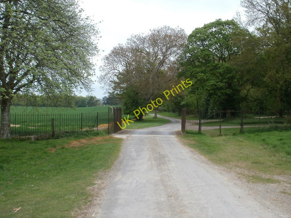 Photo 6"x4" Charborough Park, deer fence Newton Peveril c2010