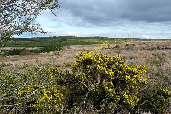 Photo 6"x4" Moorland south of Barony Bridge Connolly c2010
