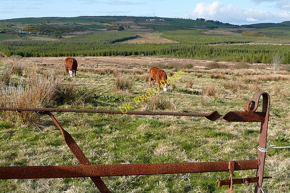 Photo 6"x4" North from Doo Lough Mullagh c2010