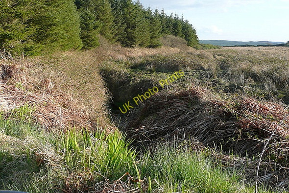 Photo 6"x4" Scrubland at Cloonlaheen West Mullagh c2010