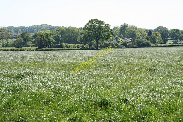Photo 6"x4" Clayhidon: towards Jack\u00e2\u0080\u0099s House Mackham c2006