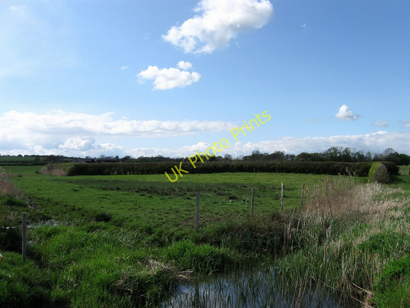 Photo 6"x4" One Hundred Acres Hailsham c2010