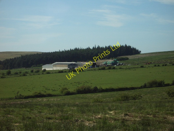 Photo 6"x4" Mountain Farm Barley\/SD8240 c2006