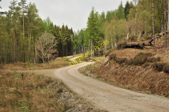 Photo 6"x4" Forestry road in a plantation north of Loch Arkaig Allt Uchdain Mh\u00f2ir c2010