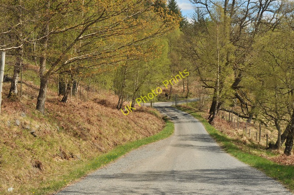 Photo 6"x4" Road through woodland near Loch Arkaig Achnacarry c2010