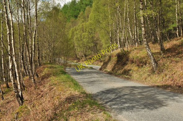 Photo 6"x4" Road through woodland near Loch Arkaig Achnacarry c2010