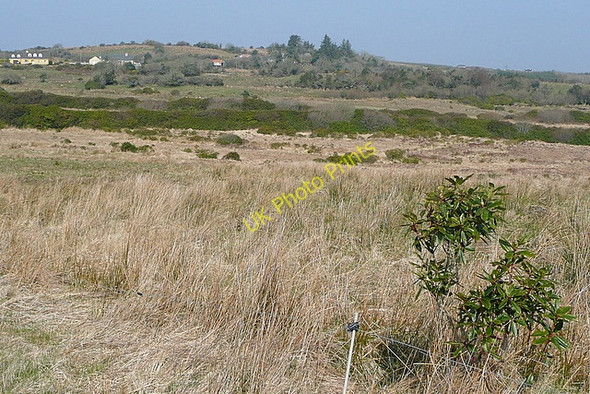 Photo 6"x4" Rough grazing at Knocknakilla Connolly c2010