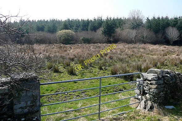 Photo 6"x4" Rough grazing at Loughburke Connolly c2010