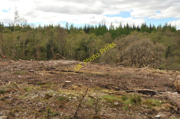 Photo 6"x4" Clear-felled forest near Duisky Duisky c2010