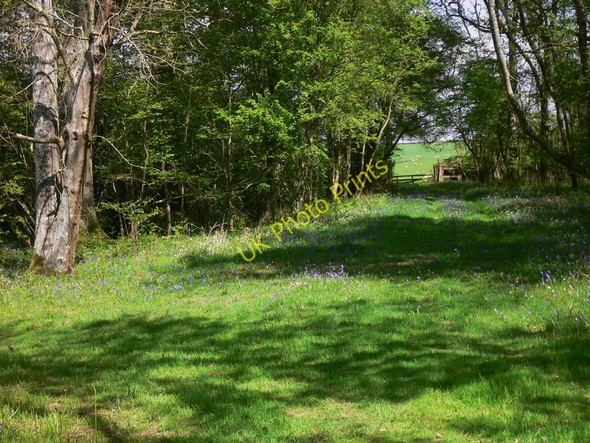 Photo 6"x4" Track in Pheasant Copse Gunter's Bridge c2010