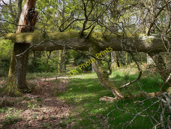 Photo 6"x4" Slight problem with headroom Gunter's Bridge c2010