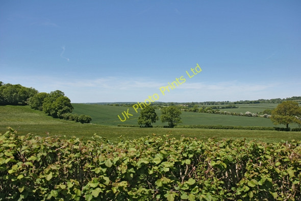Photo 6"x4" View over hedgerow East End\/SU6424 c2006