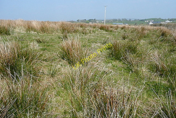 Photo 6"x4" Rough grazing at Ballyvoe Mahonburgh c2010