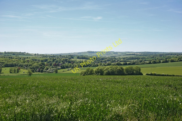 Photo 6"x4" Farm land north of Riplington East End\/SU6424 c2006