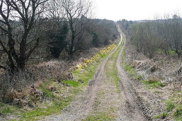 Photo 6"x4" Track at Drumanure Connolly c2010