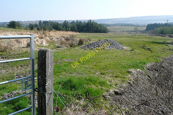 Photo 6"x4" Pasture at Kilcolumb Connolly c2010