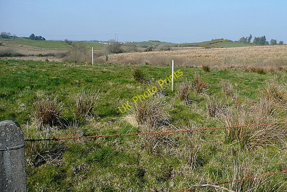 Photo 6"x4" Rough grazing at Balleen Kilmaley c2010 P1