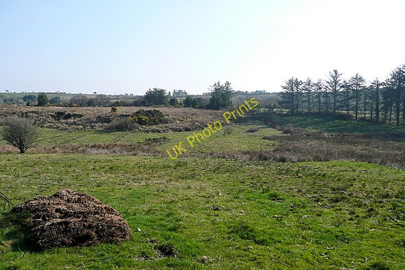 Photo 6"x4" Rough grazing at Rathcrony Kilmaley c2010