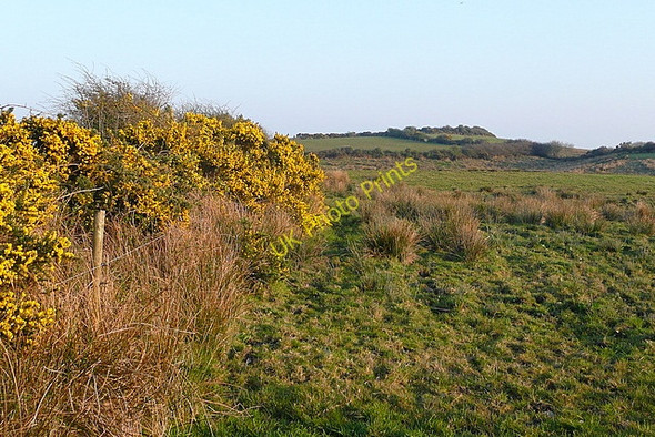 Photo 6"x4" Rough grazing at Lismulbreeda Derragh c2010