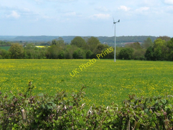 Photo 6"x4" Buttercup field and windmill near Stoke St Mary Ash\/ST2822 c2010