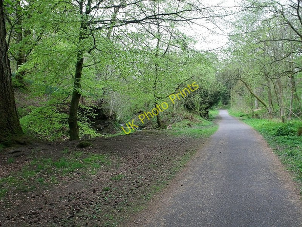 Photo 6"x4" Path by the Bogstank Burn Cumbernauld c2010