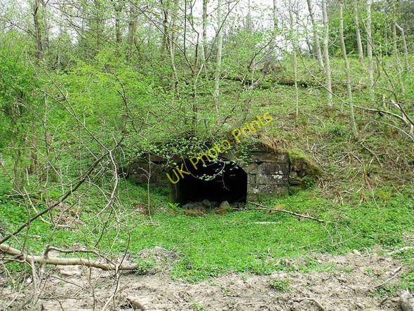 Photo 6"x4" Old tunnel, Cumbernauld Glen Cumbernauld c2010