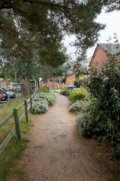 Photo 6"x4" Path beside car park, Bransgore Bransgore c2010