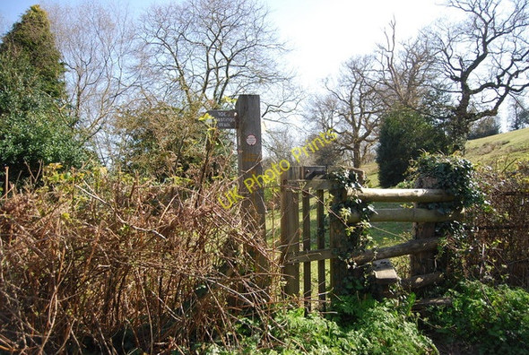 Photo 6"x4" 1066 Country Walk leaves Pett Rd, Friar's Hill Friar's Hill\/TQ8513 c2010