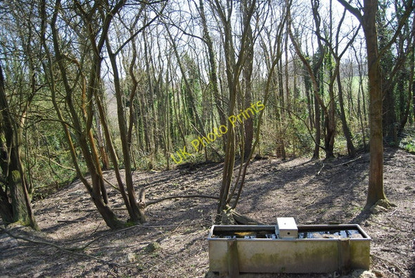 Photo 6"x4" Water trough in the woods Friar's Hill\/TQ8513 c2010