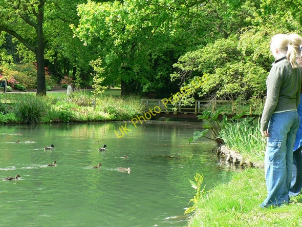 Photo 6"x4" Menagerie Pond, Temple Newsam Colton\/SE3632 c2006 P1
