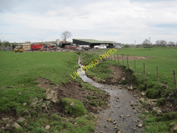 Photo 6"x4" Bowbridge Burn, Great Whittington Great Whittington c2010