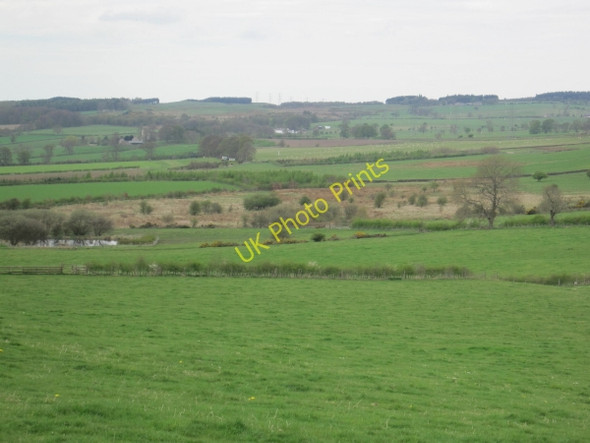 Photo 6"x4" Farmland and Pond near Shildon Halton Shields c2010
