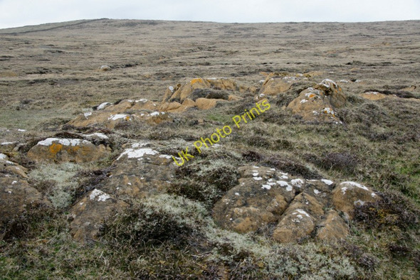 Photo 6"x4" Heathland on the south side of Nikka Vord Baltasound c2010