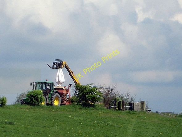 Photo 6"x4" Seed sowing (2) Wakefield\/SE3320 c2010