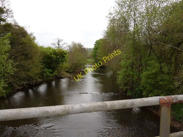 Photo 6"x4" The view upstream from Kersham Bridge on the river Taw Bridge Reeve c2010
