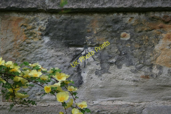 Photo 6"x4" Bolt Bench Mark (close-up) Wetherby c2010