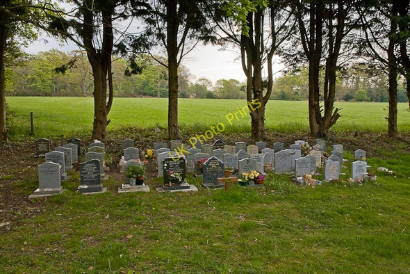 Photo 6"x4" Graveyard of St Mary the Virgin, Bransgore Bransgore c2010