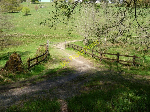 Photo 6"x4" Smallcombe Bridge on the River Yeo Arlington\/SS6140 c2010
