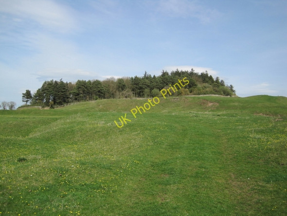 Photo 6"x4" Downhill Quarries (disused) and Plantation Halton Shields c2010