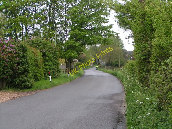 Photo 6"x4" The Roman Road to Old Sarum Salisbury c2010