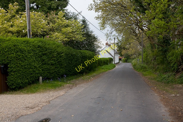 Photo 6"x4" Chapel Lane, Bransgore Bransgore c2010