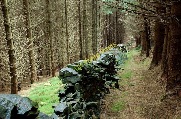 Photo 6"x4" Clattering Path to Lewenshope Old Tinnis c2010