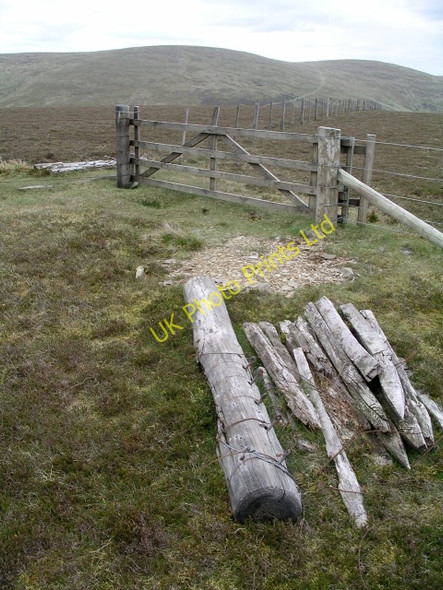 Photo 6"x4" Summit, Long Grain Knowe Stanhope\/NT1229 c2006