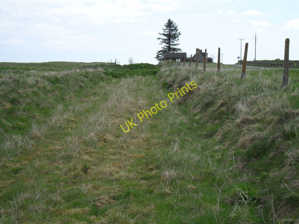 Photo 6"x4" Old track bed Skelbo c2010