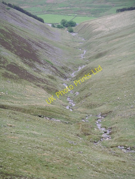 Photo 6"x4" Ugly Grain Ugly Grain c2006