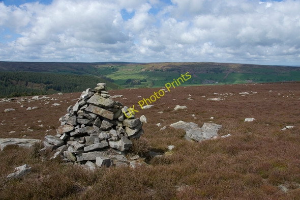 Photo 6"x4" Cairn above Wintergill plantation Glaisdale\/NZ7705 c2010