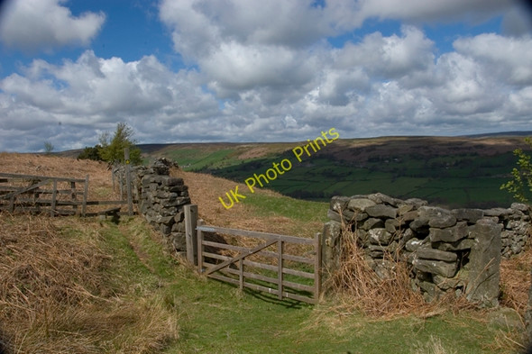 Photo 6"x4" Path junction above Bank House farm Glaisdale Glaisdale\/NZ7705 c2010