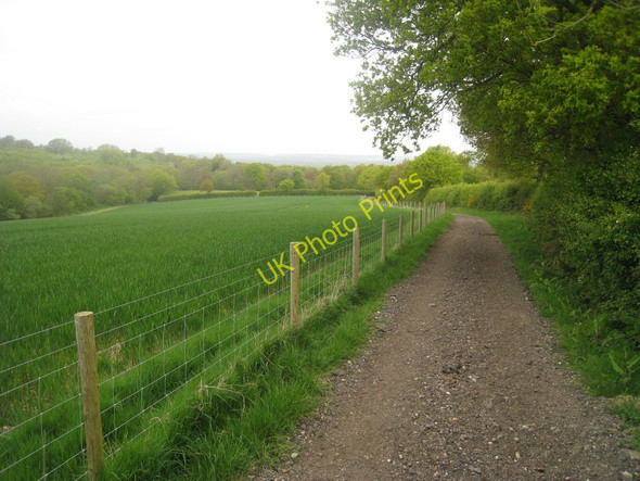 Photo 6"x4" Bridleway To Greybury Farm Marsh Green\/TQ4444 c2010