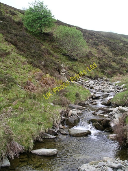 Photo 6"x4" Newholm Hope Burn Langhaugh\/NT2031 c2006