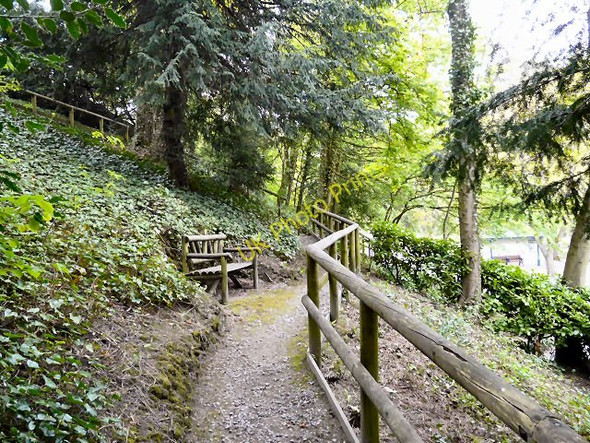 Photo 6"x4" Derwent  Gardens Footpaths Matlock c2010